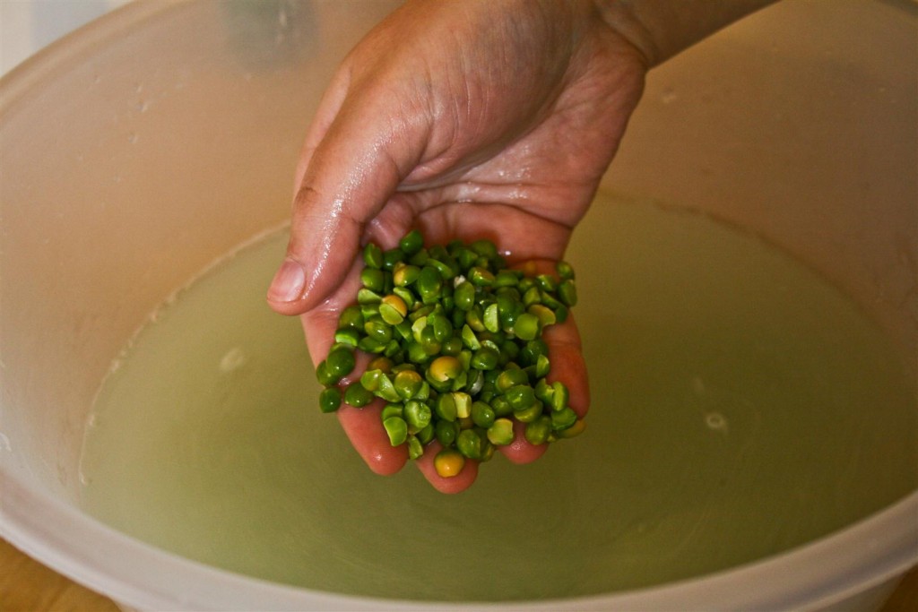 Soaking the peas