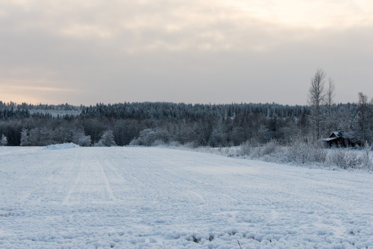 Swedish Countryside - My neighbourhood - Five Euro Food